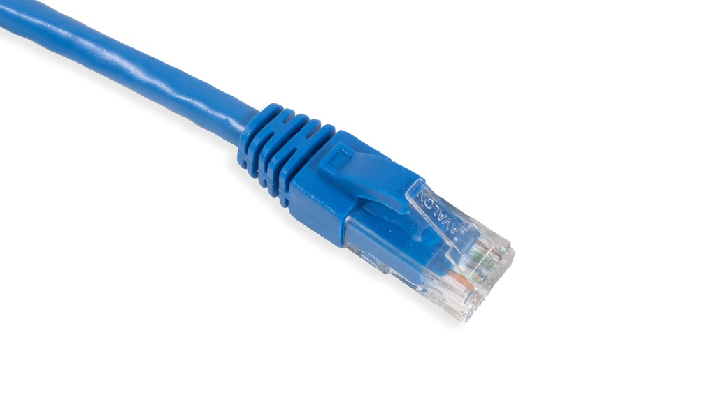 Cat.6A 10G UTP 26 AWG PVC Patch Cord 1 mtr Blue Colour 