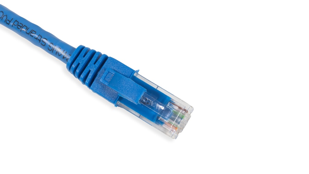 Cat.6A 10G UTP 26 AWG PVC Patch Cord 1 mtr Blue Colour 