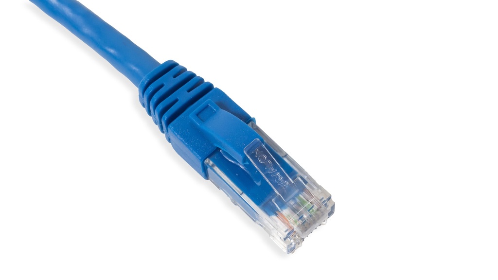 Cat.6A 10G UTP 26 AWG PVC Patch Cord 1 mtr Blue Colour 