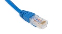 Cat.6A 10G UTP 26 AWG PVC Patch Cord 2 mtr Blue Colour 