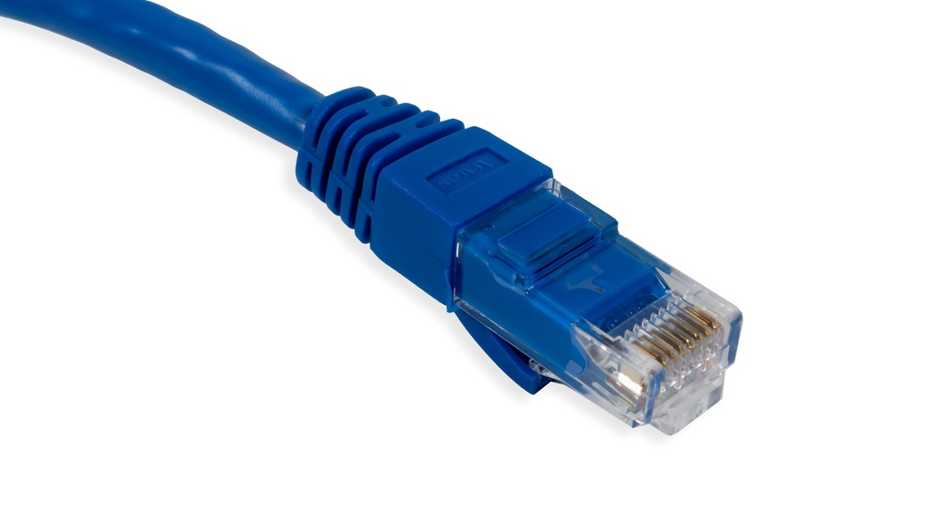 Cat.6A 10G UTP 26 AWG PVC Patch Cord 5 mtr Blue Colour 