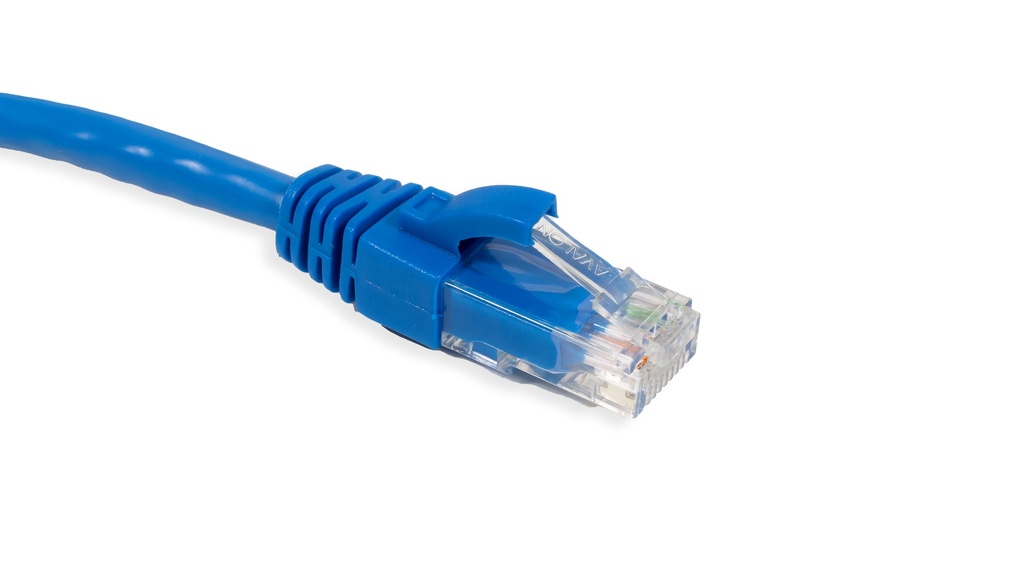 Cat.6A 10G UTP 26 AWG PVC Patch Cord 10 mtr Blue Colour 