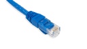 Cat.6A 10G UTP 26 AWG PVC Patch Cord 10 mtr Blue Colour 