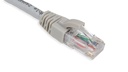 Cat.6A 10G UTP 26 AWG PVC Patch Cord 2 mtr Grey Colour