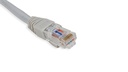 Cat.6A 10G UTP 26 AWG PVC Patch Cord 3 mtr Grey Colour 