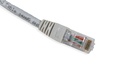 Cat.6A 10G UTP 26 AWG PVC Patch Cord 5 mtr Grey Colour 