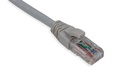 Cat.6A 10G UTP 26 AWG PVC Patch Cord 10 mtr Grey Colour 