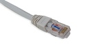 Cat.6A 10G UTP 26 AWG PVC Patch Cord 10 mtr Grey Colour 