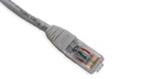 Cat.6A 10G UTP 26 AWG PVC Patch Cord 20 mtr Grey Colour 