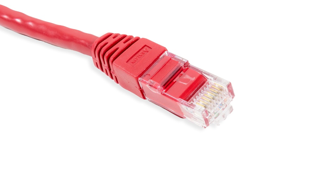 Cat.6A 10G UTP 26 AWG PVC Patch Cord 2 mtr Red Colour