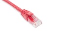 Cat.6A 10G UTP 26 AWG PVC Patch Cord 5 mtr Red Colour