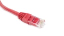 Cat.6A 10G UTP 26 AWG PVC Patch Cord 5 mtr Red Colour