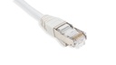 Cat.6 STP 26 AWG PVC Patch Cord 2 mtr Grey Colour